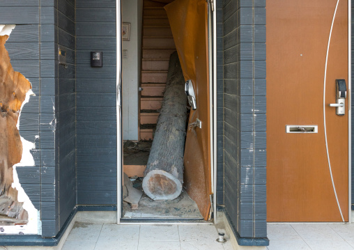 Tree trunk inside a house destroyed by the 2011 earthquake and tsunami five years after, Fukushima prefecture, Tomioka, Japan