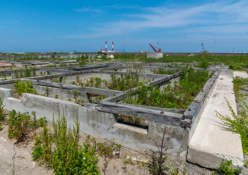 Foundations of the houses destroyed by the earthquake and the tsunami of 2011 five years after, Fukushima prefecture, Namie, Japan