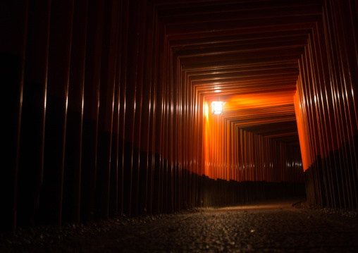 The endless red gates of fushimi inari shrine, Kansai region, Kyoto, Japan