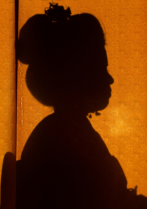 16 Years old maiko called chikasaya silhouette, Kansai region, Kyoto, Japan