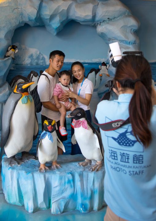 Family posing for a photo souvenir in the middle of fake penguins in Kaiyukan aquarium, Kansai region, Osaka, Japan
