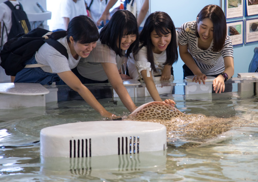 People touching rays and sharks in the touch pool in Kaiyukan aquarium, Kansai region, Osaka, Japan