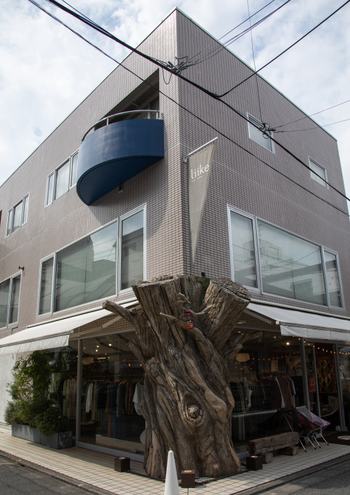 Tree trunk in front of a shop in Daikanyama, Kanto region, Tokyo, Japan
