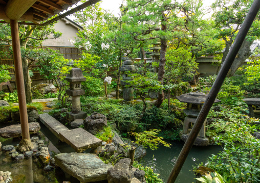 Nomura family samurai house japanese garden in nagamachi quarter, Ishikawa Prefecture, Kanazawa, Japan