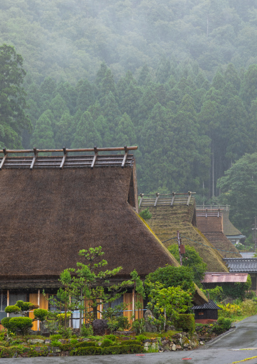 Thatched roofed houses in a traditional village against a forest, Kyoto Prefecture, Miyama, Japan