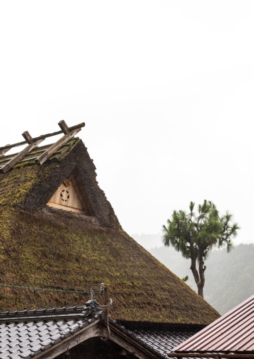 Thatched roofed house in a traditional village, Kyoto Prefecture, Miyama, Japan