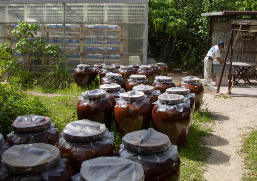 Jars in no shio salt factory, Yaeyama Islands, Ishigaki-jima, Japan