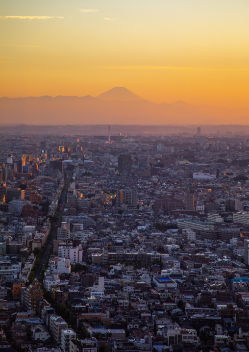 Tokyo downtown and mount fuji view at sunset, Kanto region, Tokyo, Japan