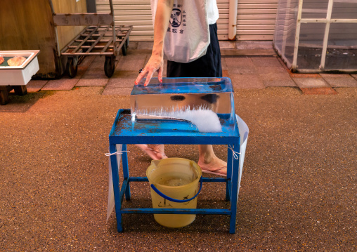 Ice to let the people refresh themselves in omicho market during a heatwave, Ishikawa Prefecture, Kanazawa, Japan