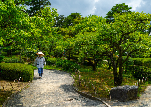 Japanese in the plum grove in Kenroku-en garden, Ishikawa Prefecture, Kanazawa, Japan