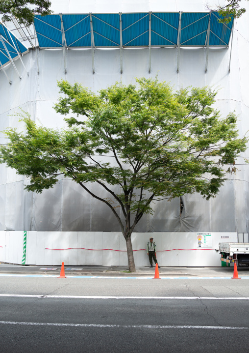 Security guard under a tree in front of a construction site, Kyushu region, Fukuoka, Japan