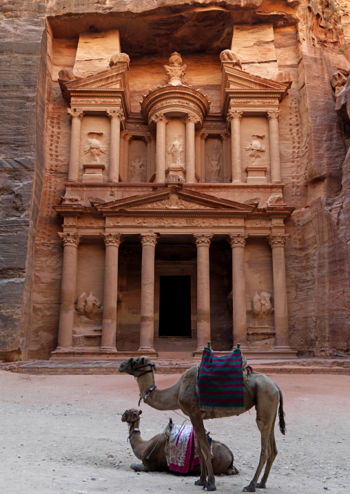 Camels In Front Of Al Khazneh Treasury Ruins, Petra, Jordan