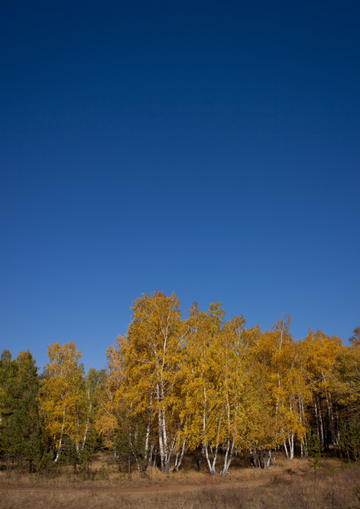Autumn In The Steppe, Kazakhstan