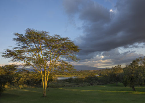 Grassy area in front of mt kenya, Laikipia county, Nanyuki, Kenya
