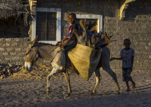 Child riding a donkey, Lamu county, Matondoni, Kenya