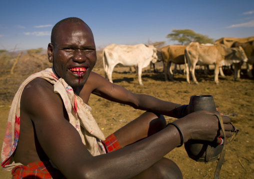 Samburu tribesman morane drinking cow blood, Samburu county, Samburu national reserve, Kenya