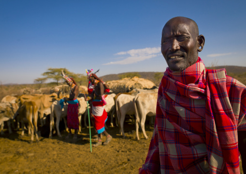 Samburu sheperd in front of his cows, Samburu county, Samburu national reserve, Kenya