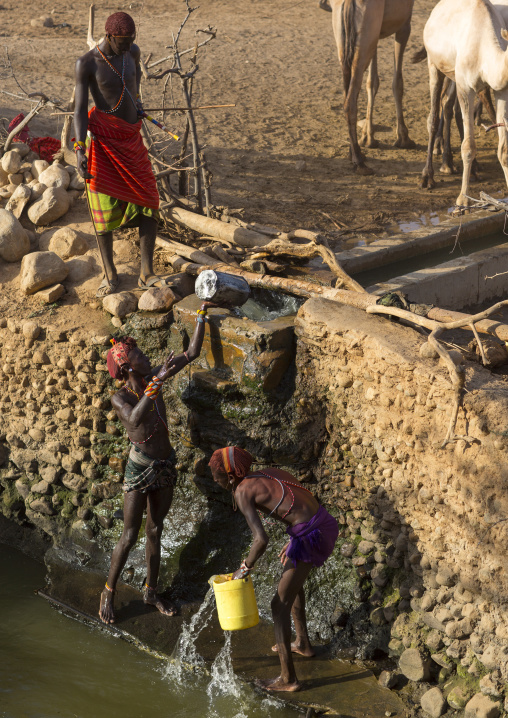 Rendille tribe men taking water in a singing well for their camels, Marsabit district, Ngurunit, Kenya
