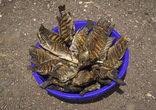 Dried and salted fishes in el molo tribe, Turkana lake, Loiyangalani, Kenya