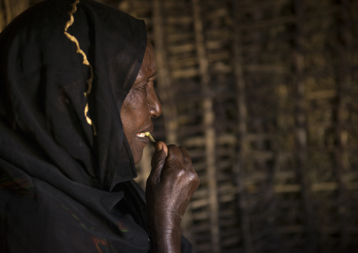 Borana tribe woman with a toothbrush inside a hut, Marsabit district, Marsabit, Kenya