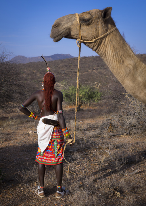 Rendille tribesman with his camel, Samburu county, Samburu national reserve, Kenya