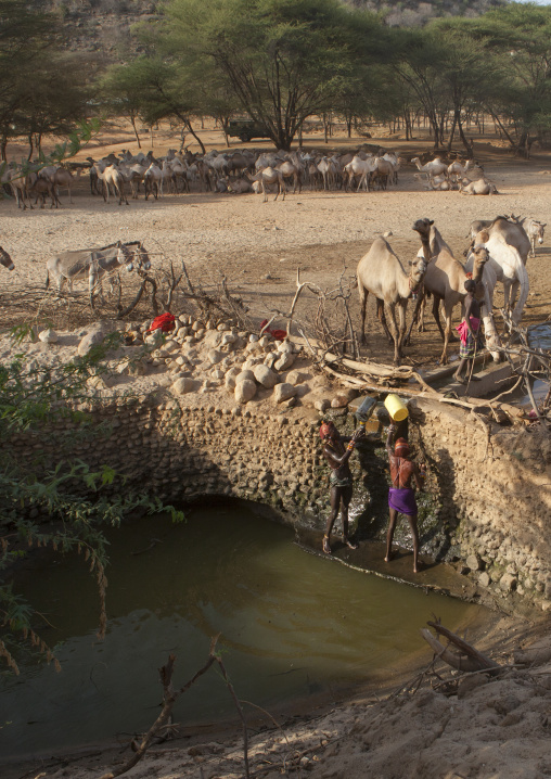 Rendille tribe men taking water in a singing well for their camels, Marsabit district, Ngurunit, Kenya