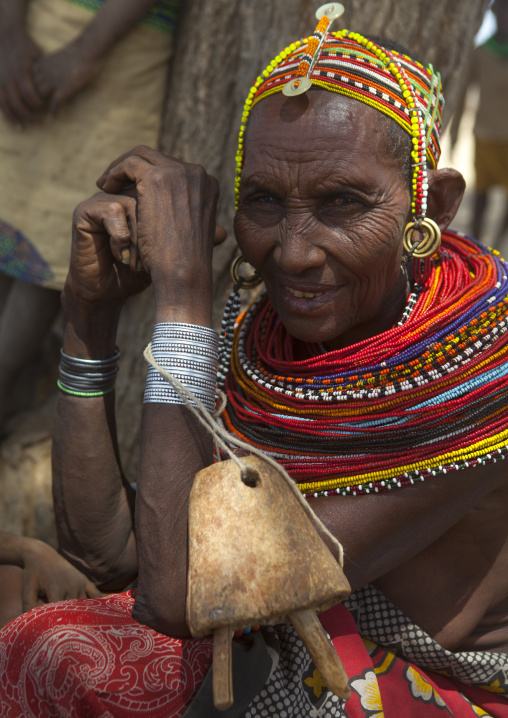 Rendille tribeswoman wearing traditional headdress and jewellery, Marsabit district, Ngurunit, Kenya