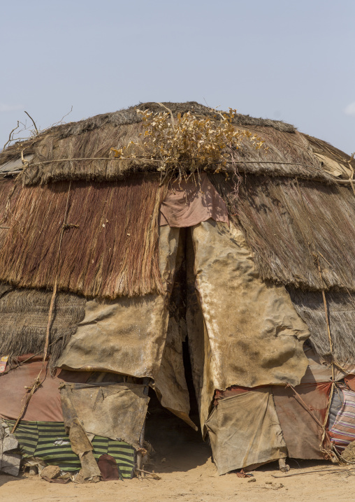 Rendille traditional hut, Marsabit district, Ngurunit, Kenya