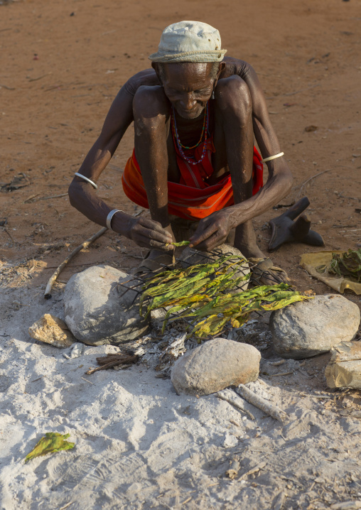 Rendille tribe old man drying tobacco leaves, Marsabit district, Ngurunit, Kenya