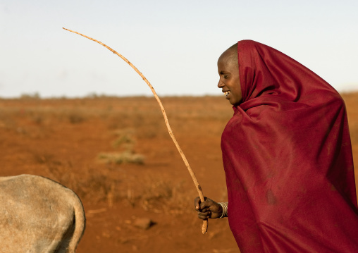 Rendille tribe woman with a donkey, Marsabit County, Marsabit, Kenya
