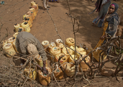 Borana tribe people collecting water in jerrycans, Marsabit County, Marsabit, Kenya