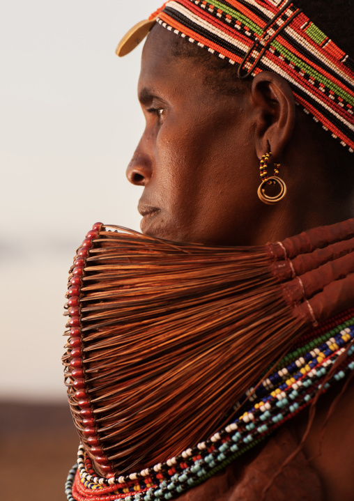 Rendille tribeswoman wearing traditional headdress and mpooro engorio necklace, Rift Valley Province, Turkana lake, Kenya
