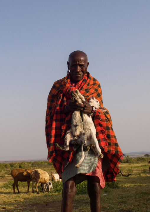 Maasai tribe man holding baby sheeps, Narok, Siana, Kenya