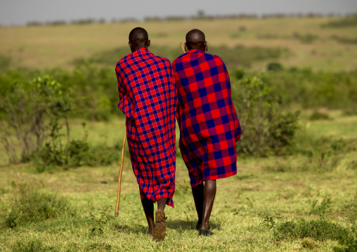 Rear view of Maasai tribe men, Rift Valley Province, Maasai Mara, Kenya