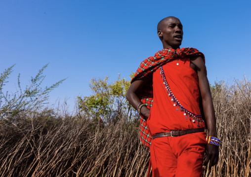 Portrait of a Maasai tribe man looking away, Rift Valley Province, Maasai Mara, Kenya