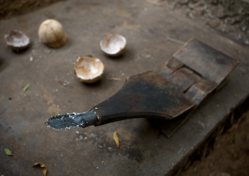 Coconut grater used for cooking, Lamu County, Lamu, Kenya