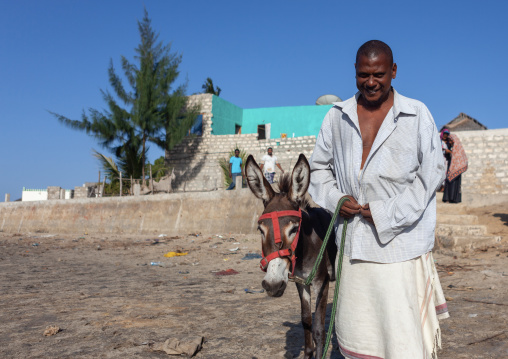 Man with his donkey in a village, Lamu County, Matondoni, Kenya