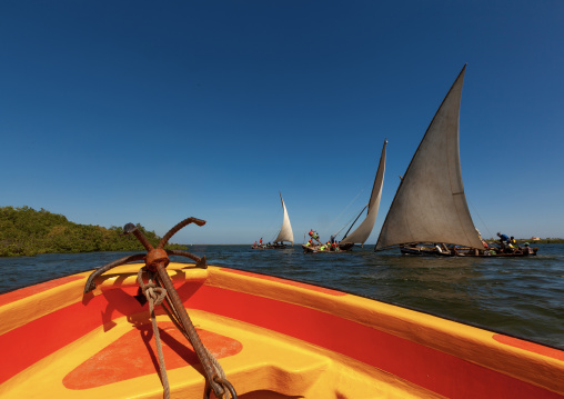 Dhows sailing on the indian ocean, Lamu County, Lamu, Kenya