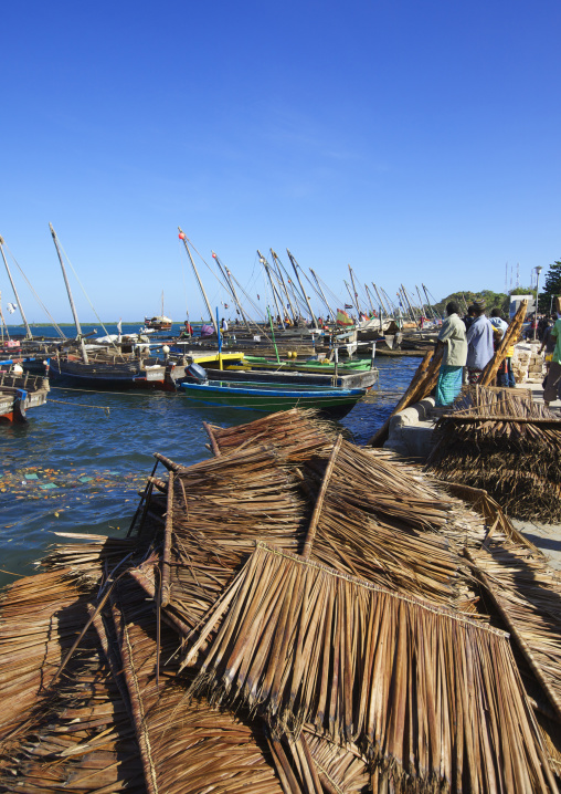 Dried palms to make roofs on the dockside, Lamu County, Lamu, Kenya
