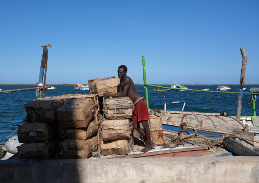 Kenyan docker loading a boat with bags, Lamu County, Lamu, Kenya