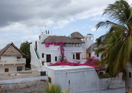 Stone townhouses and luxury mansions with thatched roofs, Lamu County, Shela, Kenya