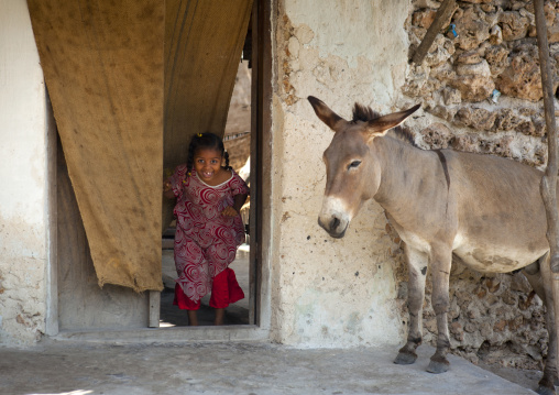 Little girl coming out a house and discovering a donkey, Lamu County, Pate Island, Kenya