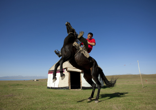 Horseman Rearing Up A Horse In Front Of A Yurt, Jaman Echki Jailoo Village, Song Kol Lake Area, Kyrgyzstan