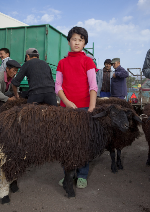Girl Keeping Sheep At The Animal Market Of Kochkor, Kyrgyzstan