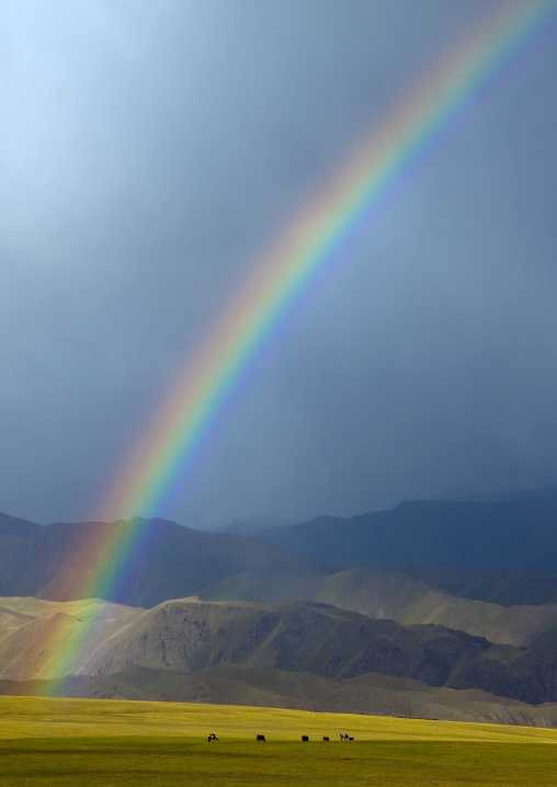 Rainbow On The Steppe, Saralasaz Jailoo, Kyrgyzstan
