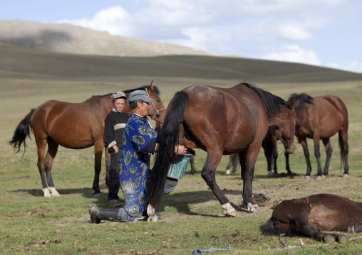 Father Showing His Son How To Take Care Of Horses, Jaman Echki Jailoo Village, Song Kol  Lake Area, Kyrgyzstan