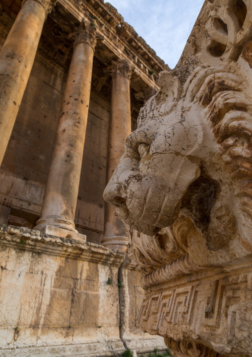 Lion sculpture in front of the temple of Bacchus in the archaeological site, Beqaa Governorate, Baalbek, Lebanon