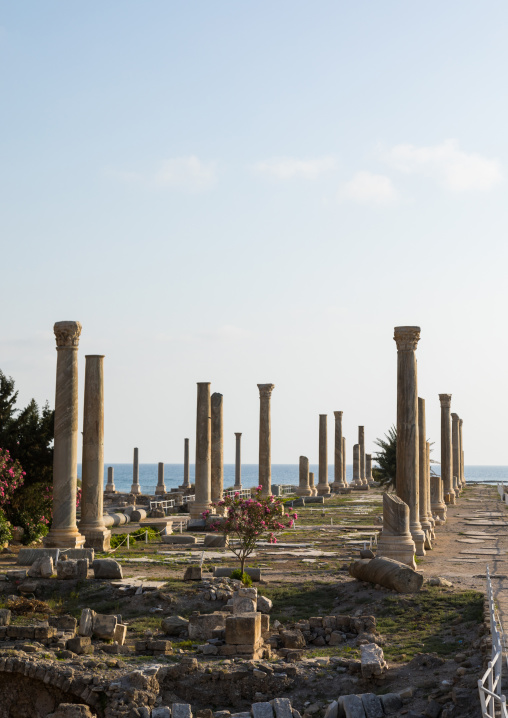 Al-Mina archaeological site, South Governorate, Tyre, Lebanon