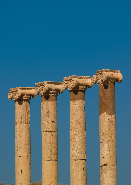 Leptis magna columns, Tripolitania, Khoms, Libya