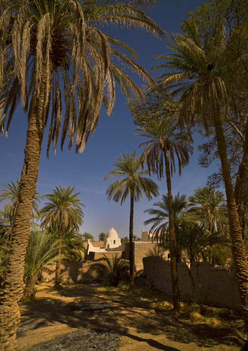 Oasis in the old town, Tripolitania, Ghadames, Libya